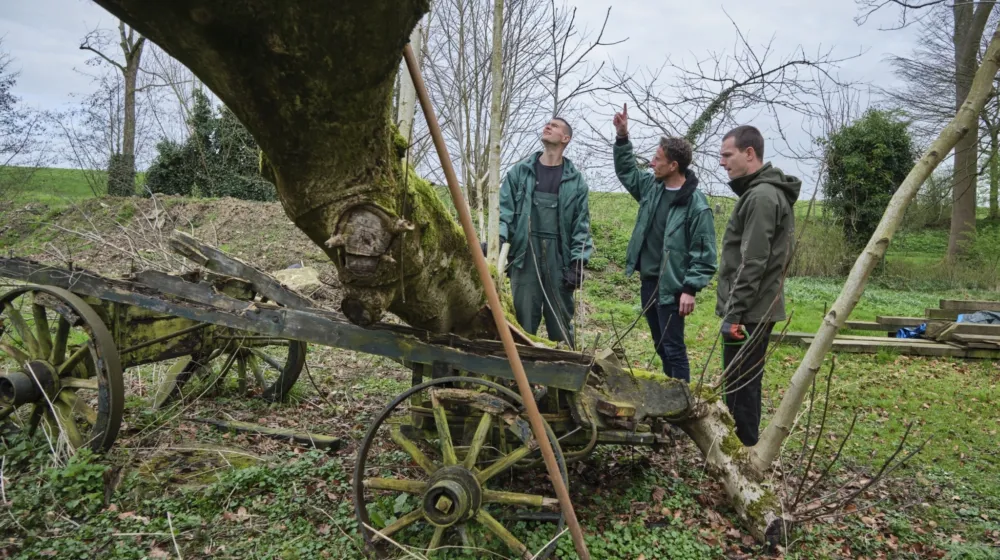 Drie mannen staan buiten. Ze kijken naar een boom. Een man wijst naar boven. Tegen de boom staan oude houten wielen.
